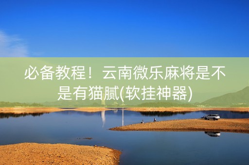 必备教程！云南微乐麻将是不是有猫腻(软挂神器)