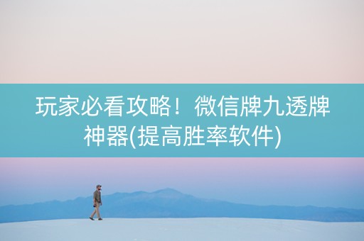 玩家必看攻略！微信牌九透牌神器(提高胜率软件)