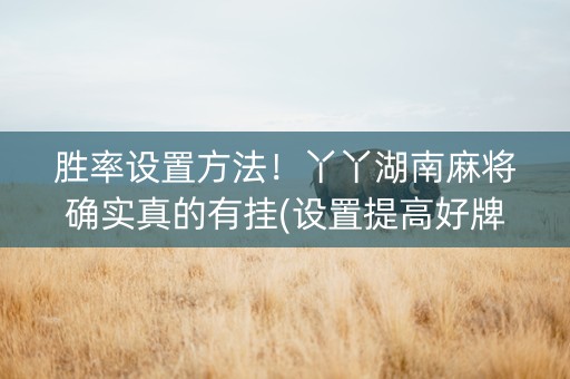 胜率设置方法！丫丫湖南麻将确实真的有挂(设置提高好牌几率)