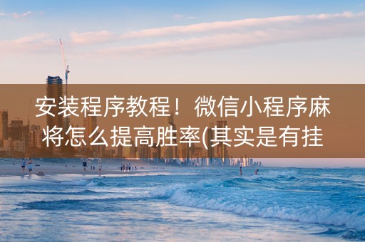 安装程序教程！微信小程序麻将怎么提高胜率(其实是有挂确实有挂)