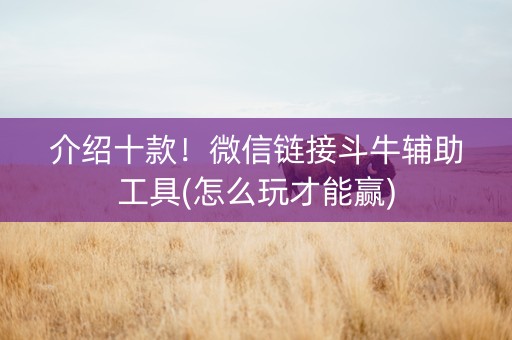 介绍十款！微信链接斗牛辅助工具(怎么玩才能赢)