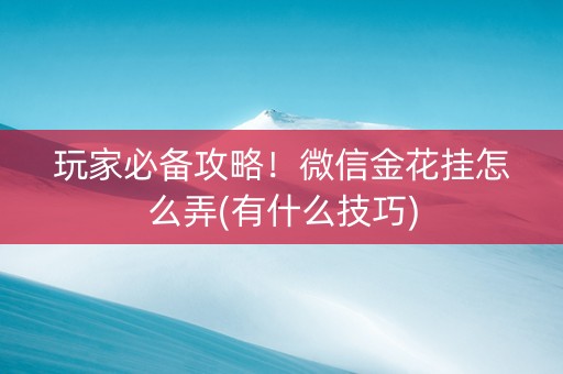 玩家必备攻略！微信金花挂怎么弄(有什么技巧)