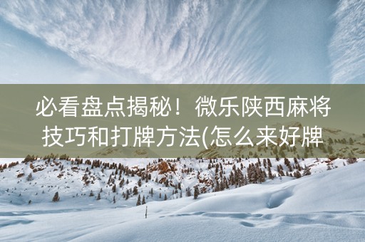 必看盘点揭秘！微乐陕西麻将技巧和打牌方法(怎么来好牌)