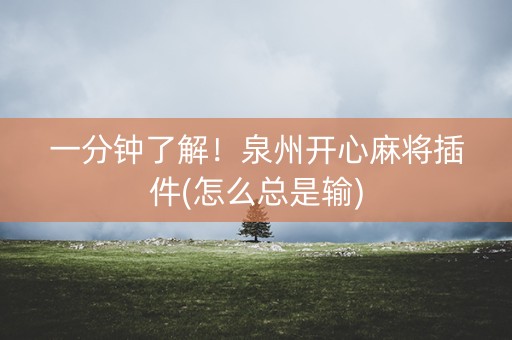 一分钟了解！泉州开心麻将插件(怎么总是输)