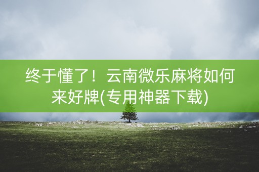 终于懂了！云南微乐麻将如何来好牌(专用神器下载)