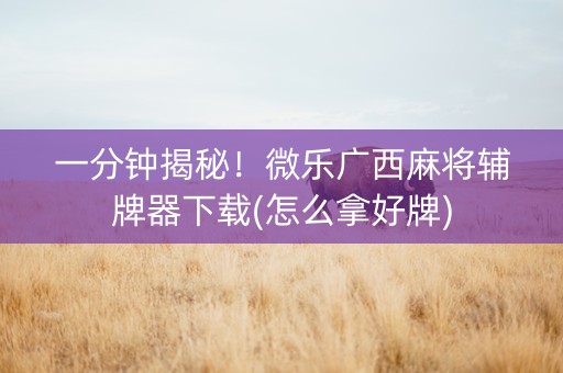 一分钟揭秘！微乐广西麻将辅牌器下载(怎么拿好牌)