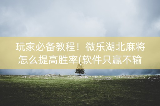 玩家必备教程！微乐湖北麻将怎么提高胜率(软件只赢不输)