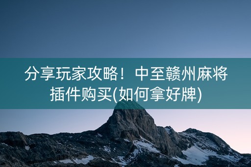 分享玩家攻略！中至赣州麻将插件购买(如何拿好牌)