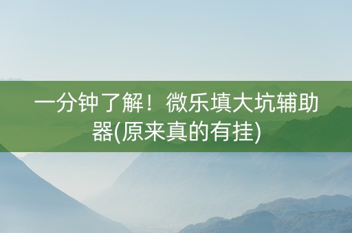 一分钟了解！微乐填大坑辅助器(原来真的有挂)