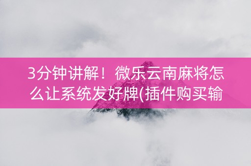 3分钟讲解！微乐云南麻将怎么让系统发好牌(插件购买输赢规律)