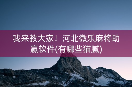 我来教大家！河北微乐麻将助赢软件(有哪些猫腻)