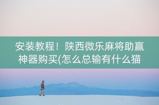 安装教程！陕西微乐麻将助赢神器购买(怎么总输有什么猫腻)
