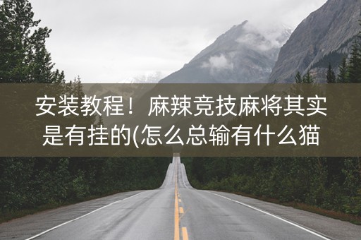 安装教程！麻辣竞技麻将其实是有挂的(怎么总输有什么猫腻)