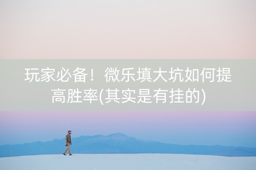 玩家必备！微乐填大坑如何提高胜率(其实是有挂的)