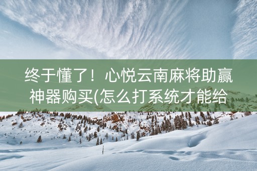 终于懂了！心悦云南麻将助赢神器购买(怎么打系统才能给好牌)