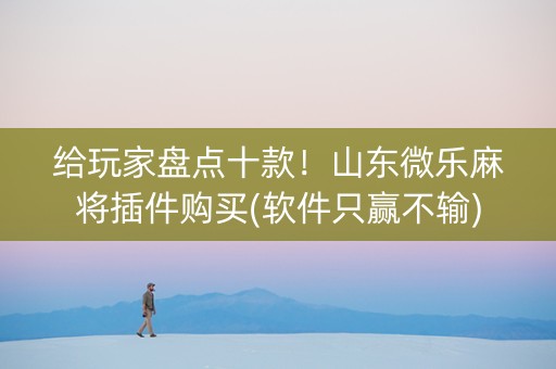 给玩家盘点十款！山东微乐麻将插件购买(软件只赢不输)