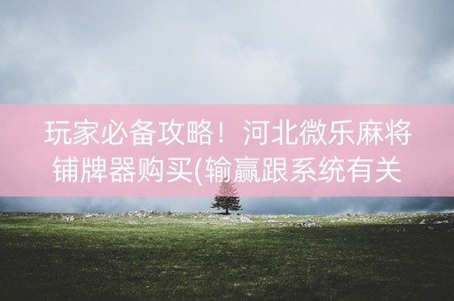 玩家必备攻略！河北微乐麻将铺牌器购买(输赢跟系统有关系吗)