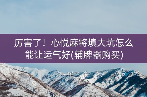 厉害了！心悦麻将填大坑怎么能让运气好(辅牌器购买)