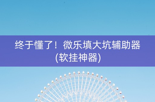 终于懂了！微乐填大坑辅助器(软挂神器)