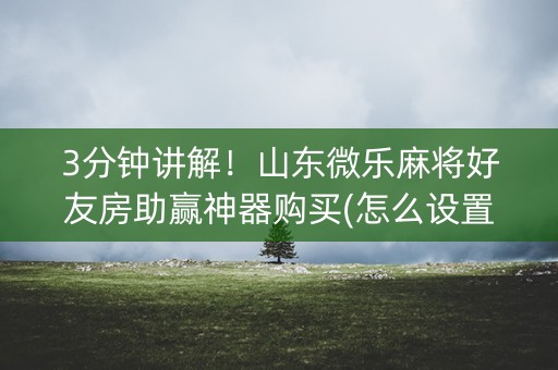 3分钟讲解！山东微乐麻将好友房助赢神器购买(怎么设置会赢)