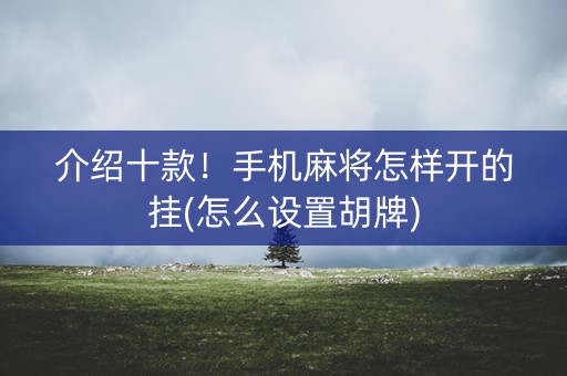 介绍十款！手机麻将怎样开的挂(怎么设置胡牌)