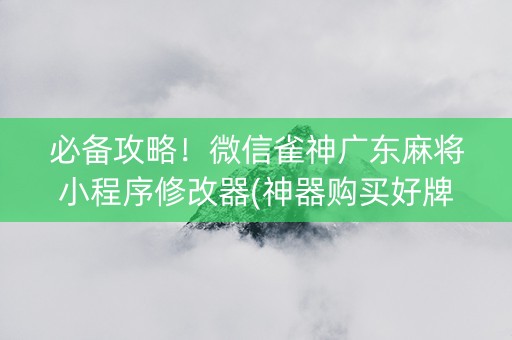 必备攻略！微信雀神广东麻将小程序修改器(神器购买好牌规律)