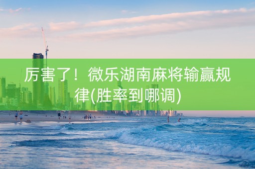 厉害了！微乐湖南麻将输赢规律(胜率到哪调)