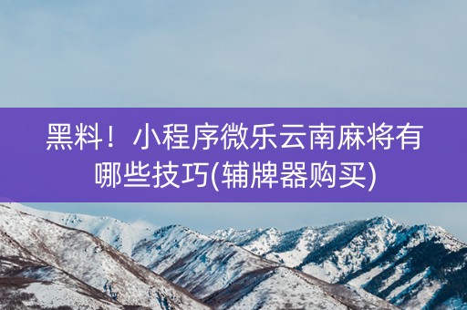 黑料！小程序微乐云南麻将有哪些技巧(辅牌器购买)