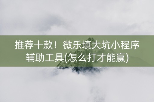 推荐十款！微乐填大坑小程序辅助工具(怎么打才能赢)