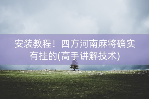 安装教程！四方河南麻将确实有挂的(高手讲解技术)