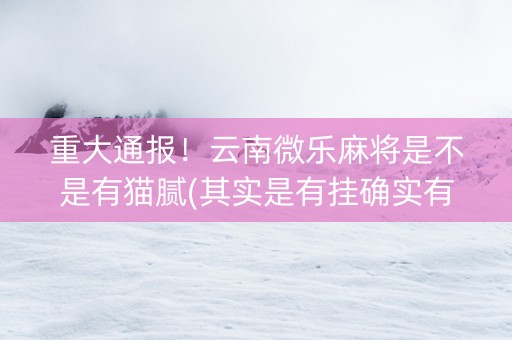 重大通报！云南微乐麻将是不是有猫腻(其实是有挂确实有挂)