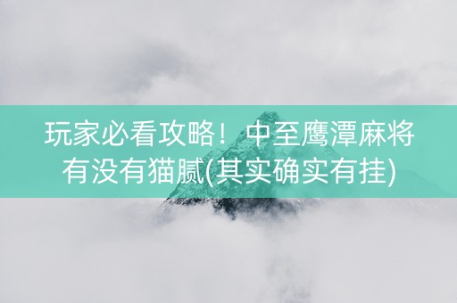 玩家必看攻略！中至鹰潭麻将有没有猫腻(其实确实有挂)