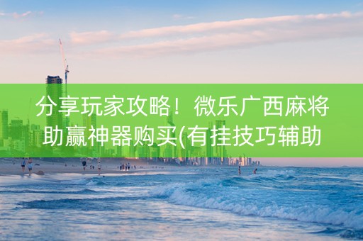 分享玩家攻略！微乐广西麻将助赢神器购买(有挂技巧辅助器)