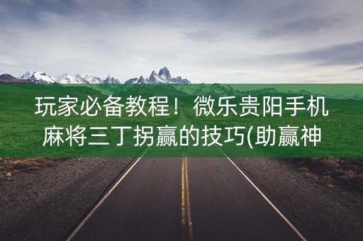 玩家必备教程！微乐贵阳手机麻将三丁拐赢的技巧(助赢神器购买)