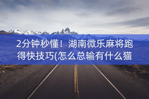 2分钟秒懂！湖南微乐麻将跑得快技巧(怎么总输有什么猫腻)