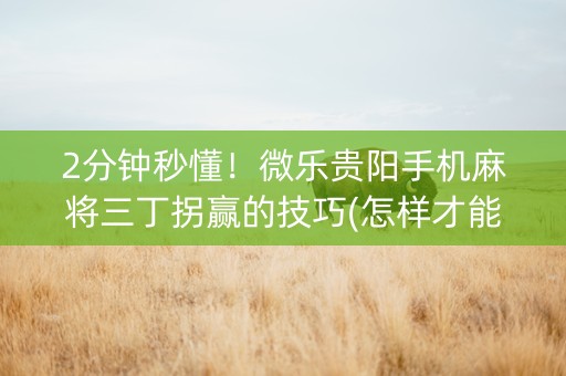 2分钟秒懂！微乐贵阳手机麻将三丁拐赢的技巧(怎样才能赢)