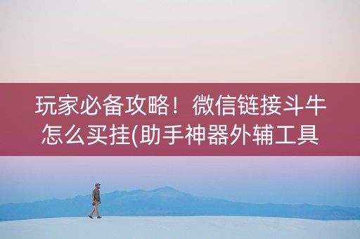 玩家必备攻略！微信链接斗牛怎么买挂(助手神器外辅工具)
