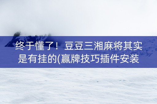 终于懂了！豆豆三湘麻将其实是有挂的(赢牌技巧插件安装)
