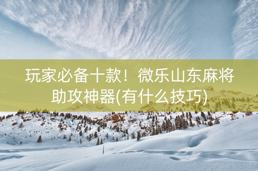 玩家必备十款！微乐山东麻将助攻神器(有什么技巧)