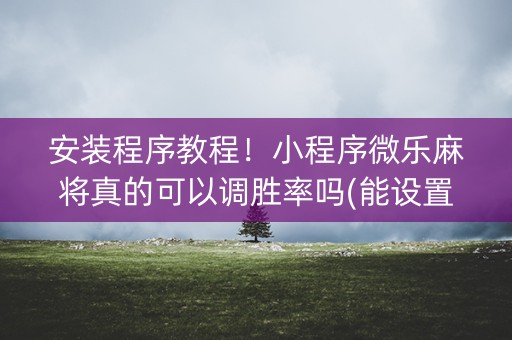 安装程序教程！小程序微乐麻将真的可以调胜率吗(能设置输赢吗)