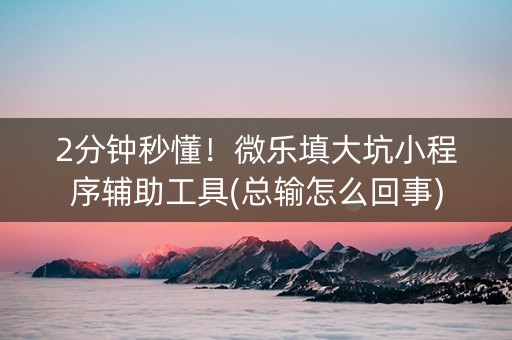2分钟秒懂！微乐填大坑小程序辅助工具(总输怎么回事)