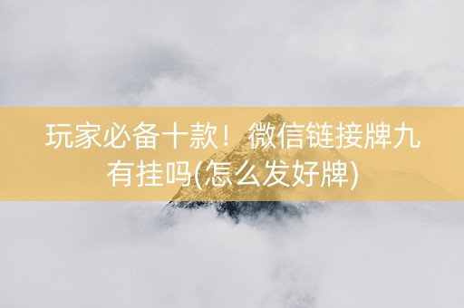 玩家必备十款！微信链接牌九有挂吗(怎么发好牌)