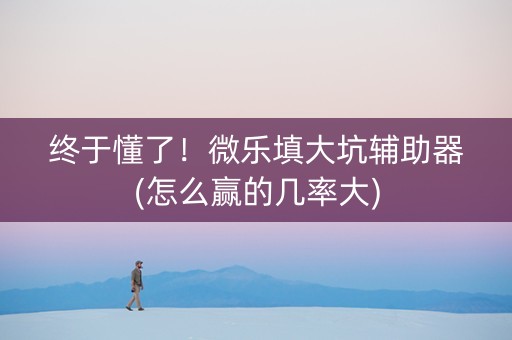 终于懂了！微乐填大坑辅助器(怎么赢的几率大)