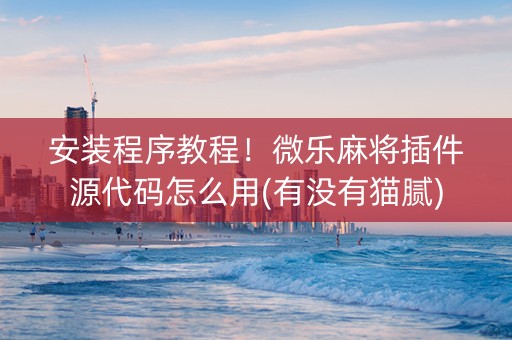 安装程序教程！微乐麻将插件源代码怎么用(有没有猫腻)