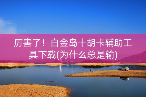 厉害了！白金岛十胡卡辅助工具下载(为什么总是输)