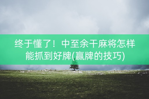 终于懂了！中至余干麻将怎样能抓到好牌(赢牌的技巧)