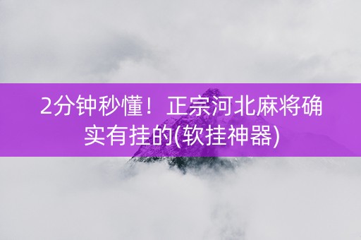 2分钟秒懂！正宗河北麻将确实有挂的(软挂神器)