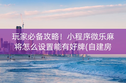 玩家必备攻略！小程序微乐麻将怎么设置能有好牌(自建房怎么赢)