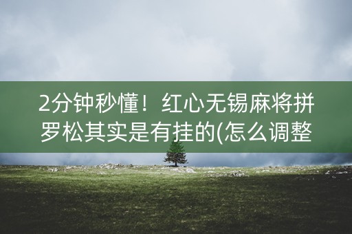 2分钟秒懂！红心无锡麻将拼罗松其实是有挂的(怎么调整胜率)