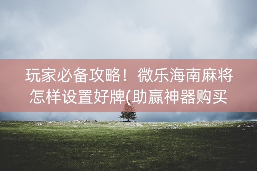 玩家必备攻略！微乐海南麻将怎样设置好牌(助赢神器购买)